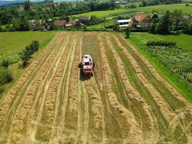 Alimentación y manejo integral de explotaciones